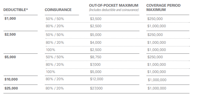 standard issue short term health plans